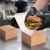 Polgastro duży box Kraft.jpg