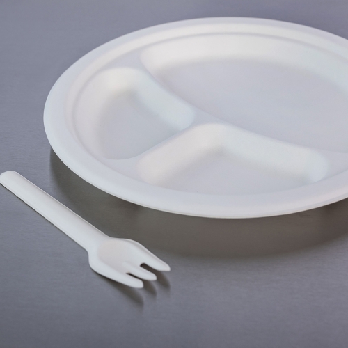 White sugar cane plate, divided, INTERNETTO.jpg